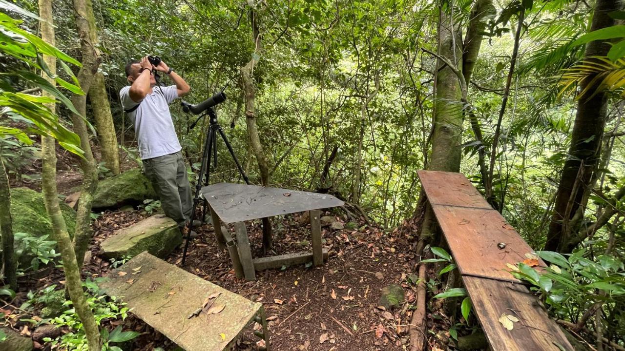 Villa Golondrina Cabana Rodeada De Naturaleza Monteverde Dış mekan fotoğraf