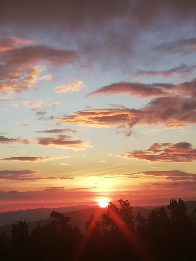 Villa Golondrina Cabana Rodeada De Naturaleza Monteverde Dış mekan fotoğraf