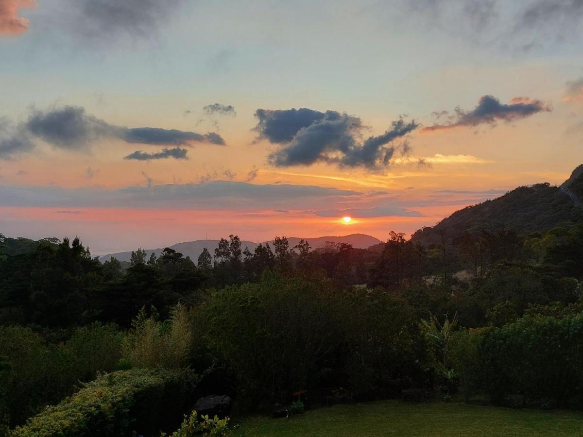 Villa Golondrina Cabana Rodeada De Naturaleza Monteverde Dış mekan fotoğraf